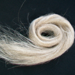 Flax Fibre