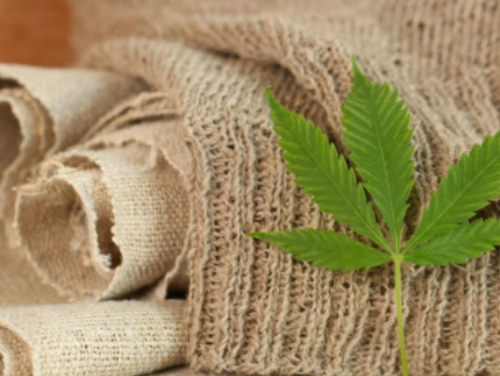 Hemp Fibre