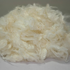 Viscose Staple Fibre