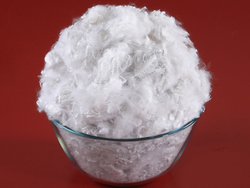 Polyester Recycle Fibre