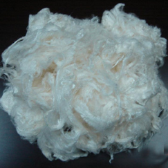 Lyocell Fibre